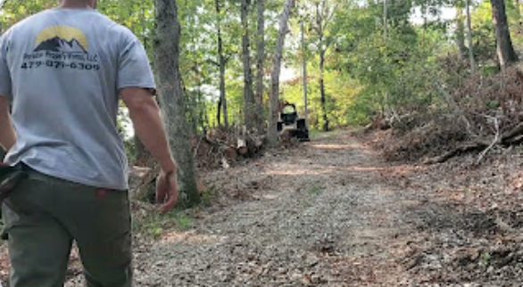 Fayetteville tree service